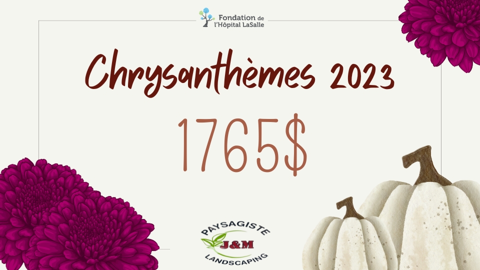 Chrysanthèmes 2023