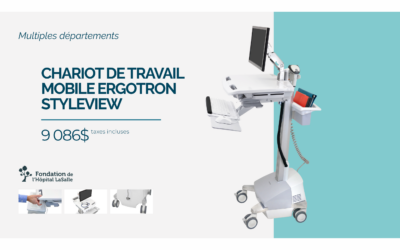 CHARIOT DE TRAVAIL MOBILE ERGOTRON STYLEVIEW